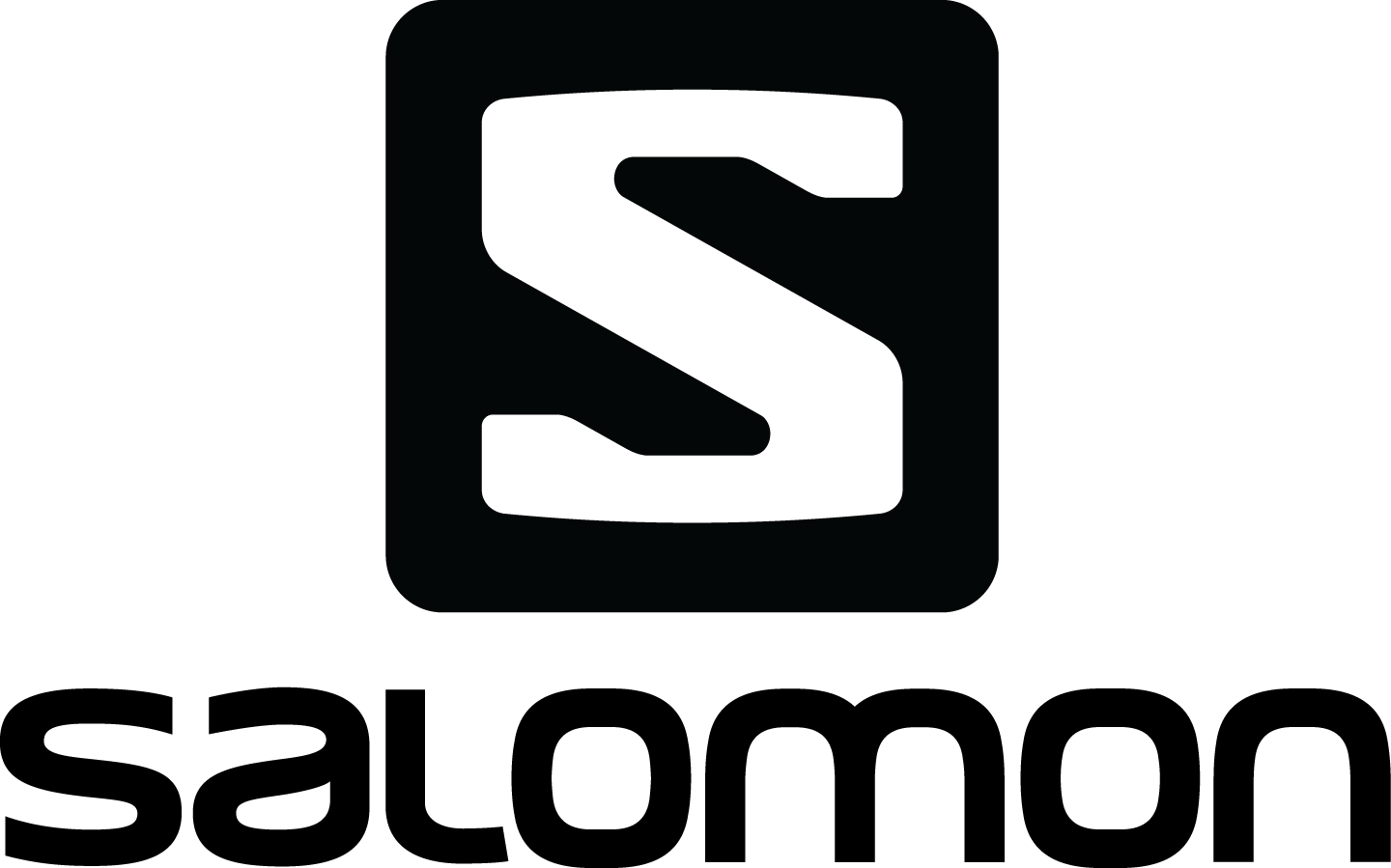 logo salomon png